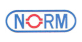norm-e1625215291515-160x82